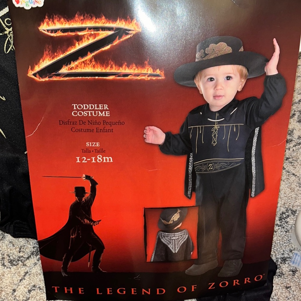Boy's Zorro The Legend of Zorro Halloween Costume